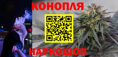 скорость Новозыбков