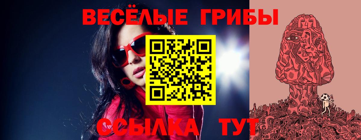 Сыктывкар  Псилоцибиновые грибы ЛСД  Псилоцибиновые грибы Psilocybe  где найти наркотики  Вход с VPN 